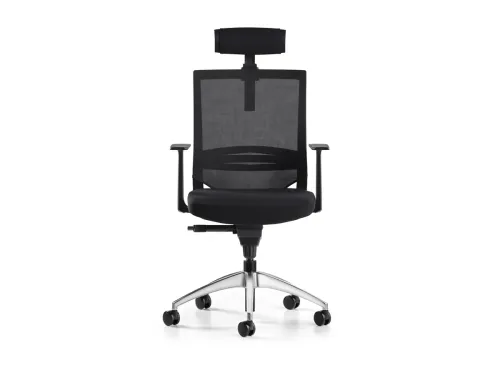 COZY ergonomik yönetici koltuğu, BL2327 siyah oturumu, siyah başlığı ve F503 siyah file sırtıyla profesyonel ofislerde net bir duruş sergiler.