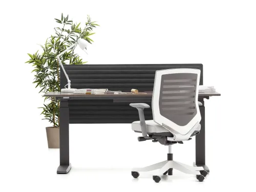 Antrasit keçe panel ve koyu ayak yapısıyla SET Home, daha karakterli bir standing desk ev için kullanımına modern bir görünüm kazandırır.