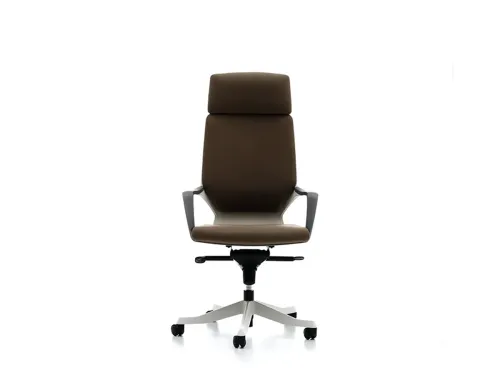 SWAN BL2409 açık kahve yönetici ofis koltuğu, başlıklı yapısı, geniş oturma yüzeyi ve alüminyum ayaklı formuyla seçici ofisler için sakin konfor sağlar.