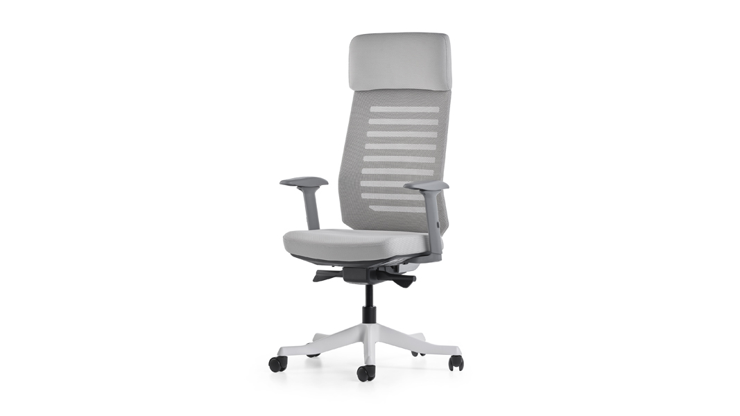 RARE Yönetici Koltuğu | Personel Sandalyesi - Ofis Koltuğu - Home Office Sandalyesi