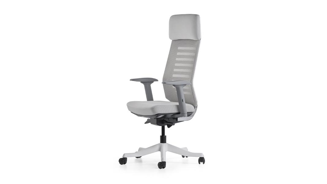 RARE Yönetici Koltuğu | Personel Sandalyesi - Ofis Koltuğu - Home Office Sandalyesi
